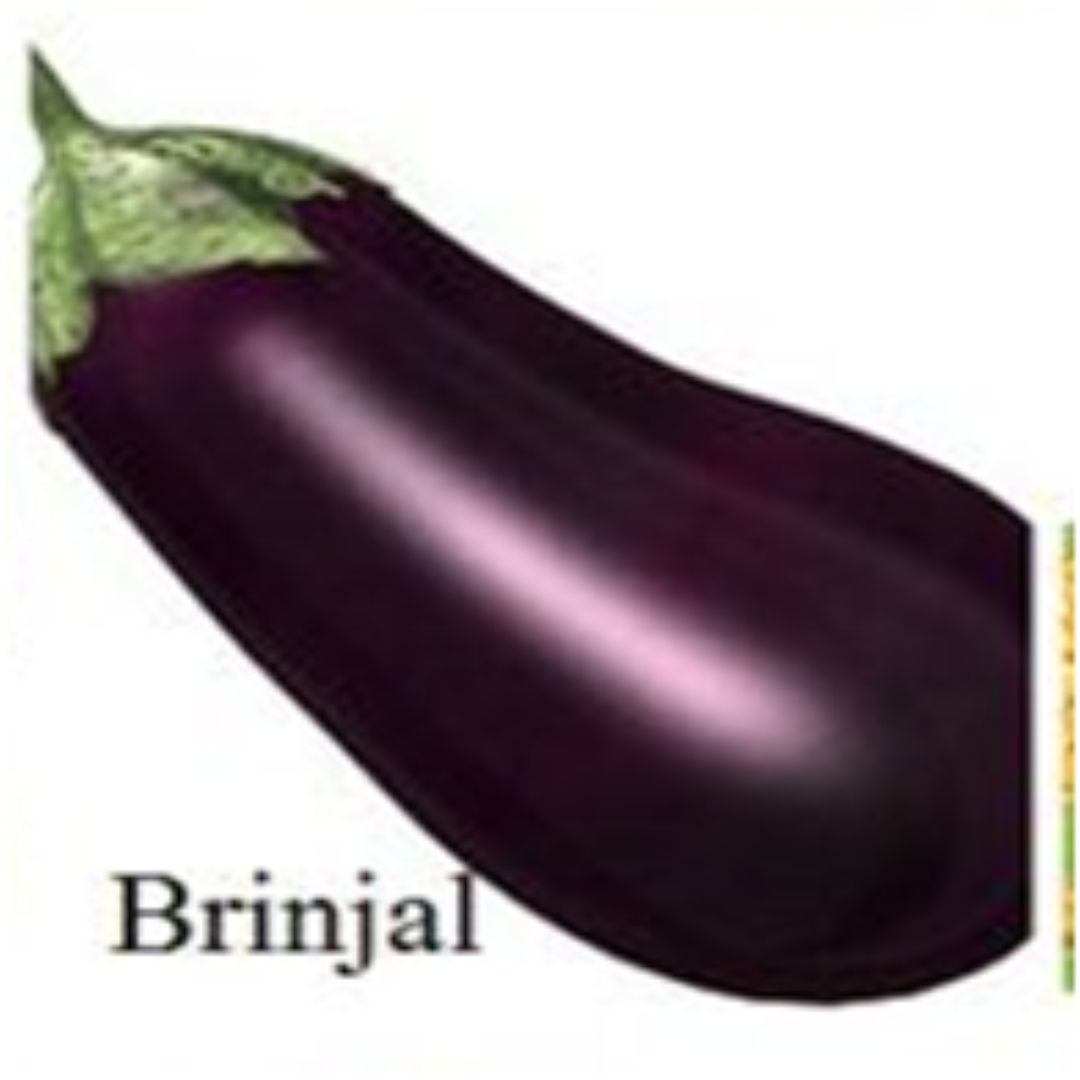 Binjal/rigna Sabji